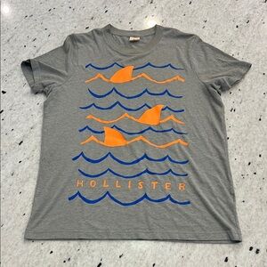 Hollister Men’s Gray Crew Neck Graphic Tee Shirt